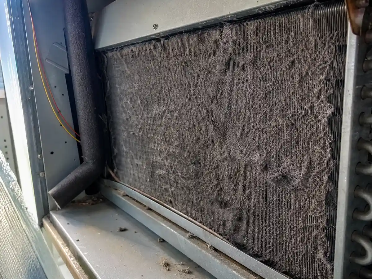 Coil Cleaning in Cape Coral, FL